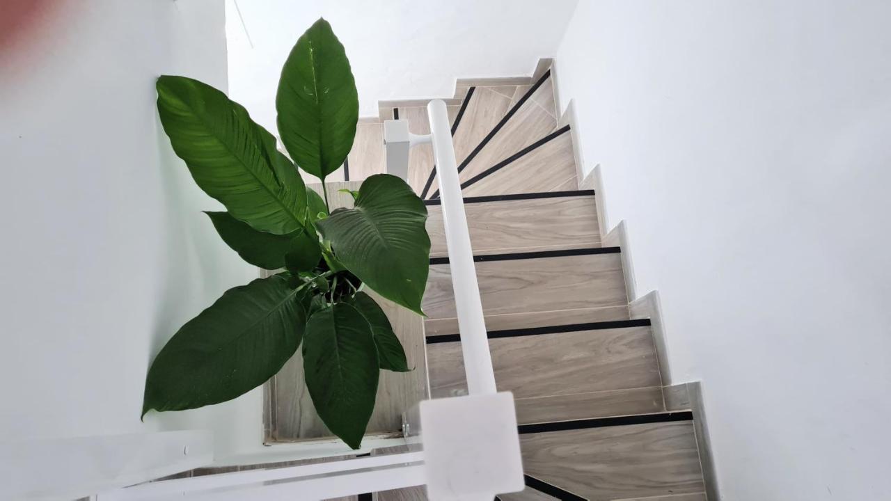 Apartamento Jameo Daire Punta Mujeres Dış mekan fotoğraf
